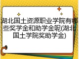 湖北国土资源职业学院有哪些奖学金和助学金呢(湖北国土学院奖助学金)