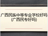 广西民族中等专业学校好吗(广西民专好吗)
