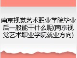 南京视觉艺术职业学院毕业后一般能干什么呢(南京视觉艺术职业学院就业方向)