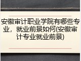 安徽审计职业学院有哪些专业，就业前景如何(安徽审计专业就业前景)