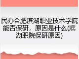 民办合肥滨湖职业技术学院能否保研，原因是什么(滨湖职院保研原因)