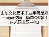 山东文化艺术职业学院是双一流高校吗，简单介绍(山东艺职非双一流)