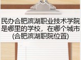 民办合肥滨湖职业技术学院是哪里的学校，在哪个城市(合肥滨湖职院位置)