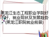 黑龙江生态工程职业学院好不好，就业现状及发展趋势(黑龙江职院就业前景)
