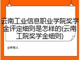 云南工业信息职业学院奖学金评定细则是怎样的(云南工院奖学金细则)