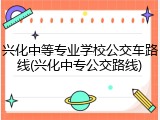 兴化中等专业学校公交车路线(兴化中专公交路线)