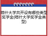 喀什大学共开设有哪些类型奖学金(喀什大学奖学金类型)