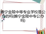 睢宁金陵中等专业学校是公办的吗(睢宁金陵中专公办吗)