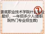 娄底职业技术学院什么专业最好，一年招多少人(娄职院热门专业招生数)