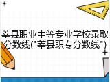 莘县职业中等专业学校录取分数线("莘县职专分数线")