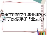 安康学院的学生毕业都怎么样了(安康学子毕业去向)