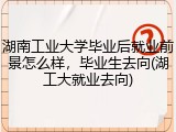 湖南工业大学毕业后就业前景怎么样，毕业生去向(湖工大就业去向)