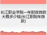 长江职业学院一年财政拨款大概多少钱(长江职院年拨款)