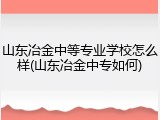 山东冶金中等专业学校怎么样(山东冶金中专如何)