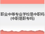职业中等专业学校是中职吗(中职是职专吗)