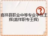 嘉祥县职业中等专业学校王辉(嘉祥职专王辉)