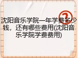 沈阳音乐学院一年学费多少钱，还有哪些费用(沈阳音乐学院学费费用)