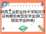 陕西工业职业技术学院共开设有哪些类型奖学金(陕工院奖学金种类)