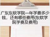 广东东软学院一年学费多少钱，还有哪些费用(东软学院学费及费用)