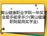 黄山健康职业学院一年奖学金最多能拿多少(黄山健康职院最高奖学金)