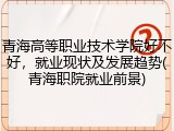 青海高等职业技术学院好不好，就业现状及发展趋势(青海职院就业前景)
