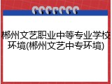 郴州文艺职业中等专业学校环境(郴州文艺中专环境)