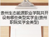 贵州生态能源职业学院共开设有哪些类型奖学金(贵州职院奖学金类型)