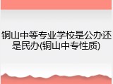 铜山中等专业学校是公办还是民办(铜山中专性质)