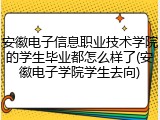 安徽电子信息职业技术学院的学生毕业都怎么样了(安徽电子学院学生去向)