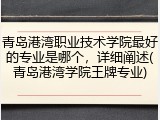 青岛港湾职业技术学院最好的专业是哪个，详细阐述(青岛港湾学院王牌专业)