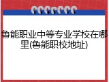 鲁能职业中等专业学校在哪里(鲁能职校地址)