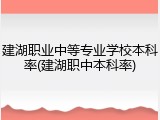建湖职业中等专业学校本科率(建湖职中本科率)