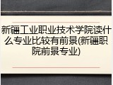 新疆工业职业技术学院读什么专业比较有前景(新疆职院前景专业)