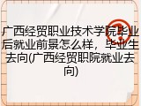 广西经贸职业技术学院毕业后就业前景怎么样，毕业生去向(广西经贸职院就业去向)