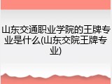 山东交通职业学院的王牌专业是什么(山东交院王牌专业)