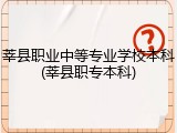 莘县职业中等专业学校本科(莘县职专本科)
