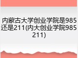 内蒙古大学创业学院是985还是211(内大创业学院985211)