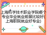 上海科学技术职业学院哪个专业毕业就业前景比较好(上海职院就业好专业)