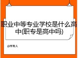 职业中等专业学校是什么高中(职专是高中吗)
