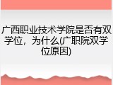 广西职业技术学院是否有双学位，为什么(广职院双学位原因)