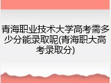 青海职业技术大学高考需多少分能录取呢(青海职大高考录取分)