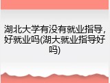 湖北大学有没有就业指导，好就业吗(湖大就业指导好吗)