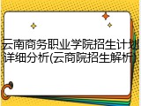 云南商务职业学院招生计划详细分析(云商院招生解析)