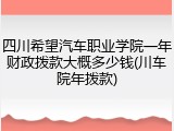 四川希望汽车职业学院一年财政拨款大概多少钱(川车院年拨款)