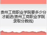 贵州工商职业学院要多少分才能进(贵州工商职业学院录取分数线)