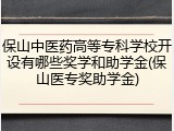 保山中医药高等专科学校开设有哪些奖学和助学金(保山医专奖助学金)