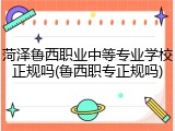 菏泽鲁西职业中等专业学校正规吗(鲁西职专正规吗)