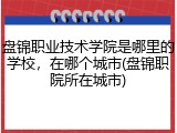 盘锦职业技术学院是哪里的学校，在哪个城市(盘锦职院所在城市)