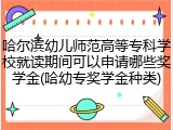 哈尔滨幼儿师范高等专科学校就读期间可以申请哪些奖学金(哈幼专奖学金种类)