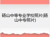 砀山中等专业学校照片(砀山中专照片)